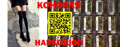 крисы Кунгур