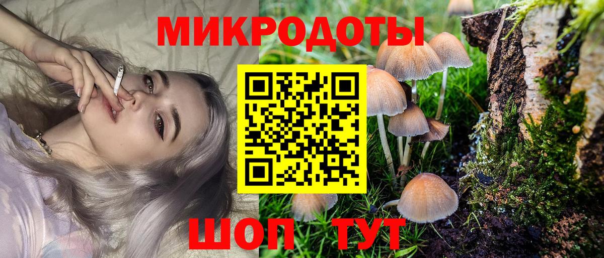 Псилоцибиновые грибы Psilocybine cubensis Йошкар-Ола