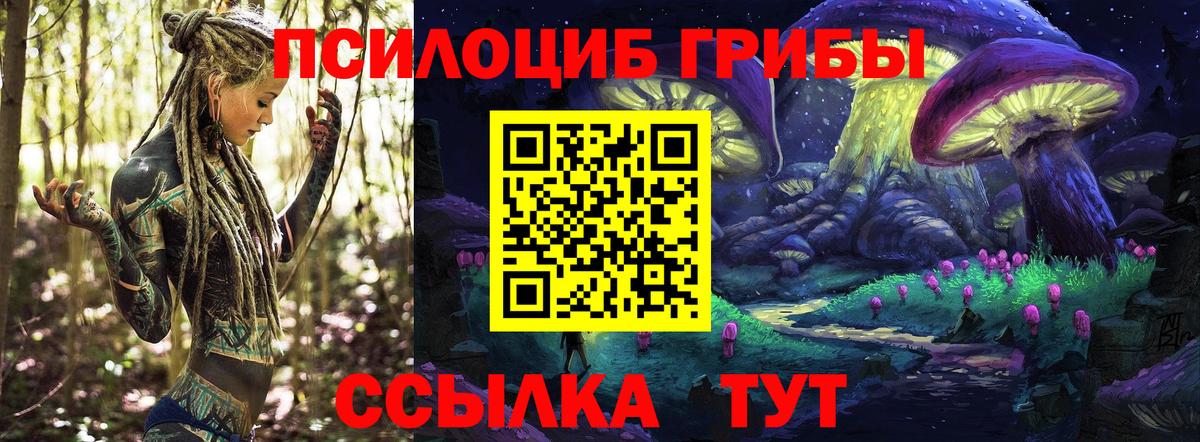 Галлюциногенные грибы мицелий  Вход с VPN  Йошкар-Ола 